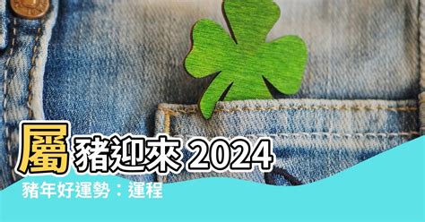 豬運程2024|2024屬豬幾歲、2024屬豬運勢、屬豬幸運色、財位、禁忌